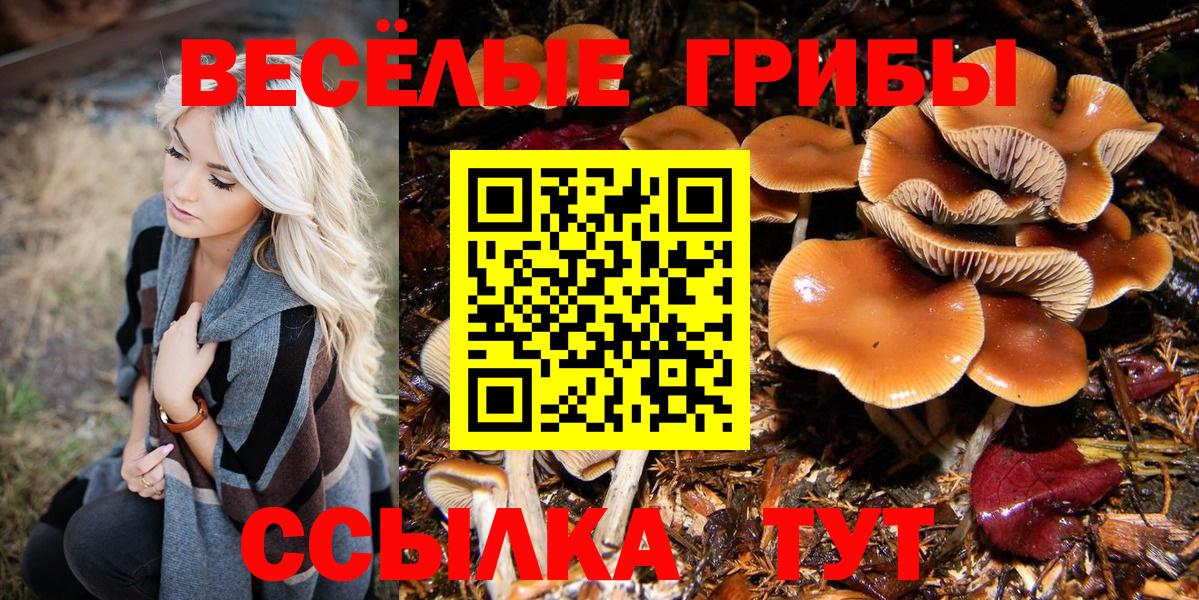 Галлюциногенные грибы прущие грибы Донской